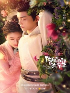 传闻中的陈芊芊