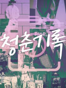 青春纪录