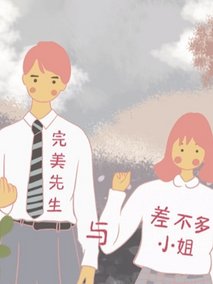 完美先生和差不多小姐