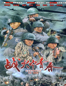 战火中青春第二部