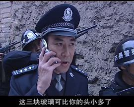 警中警