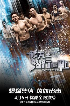 飞虎极战
