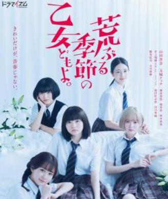 骚动时节的少女们啊
