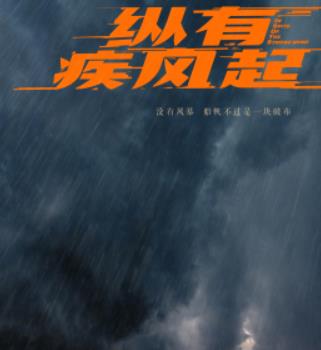 纵有疾风起