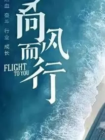 向风而行