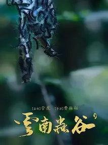 云南虫谷