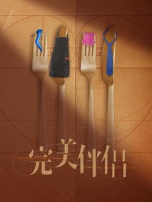 完美伴侣
