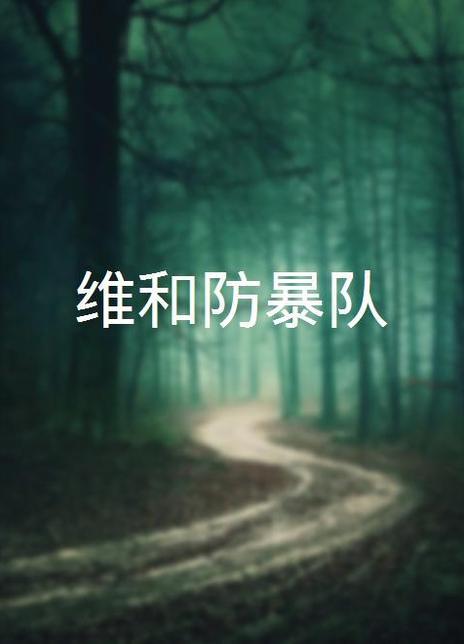 维和防暴队