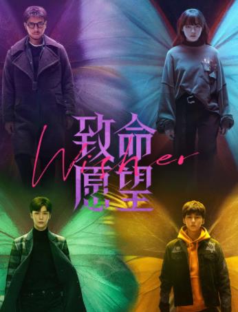 致命愿望
